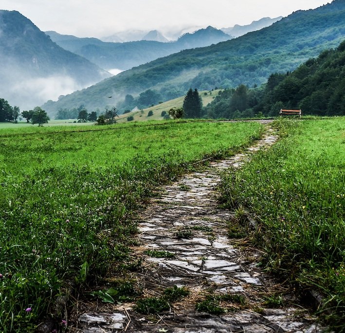 Beautiful path towards misty mountains